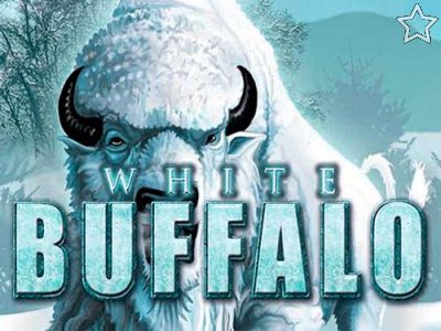 White Buffalo