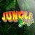 Jungle Boogie