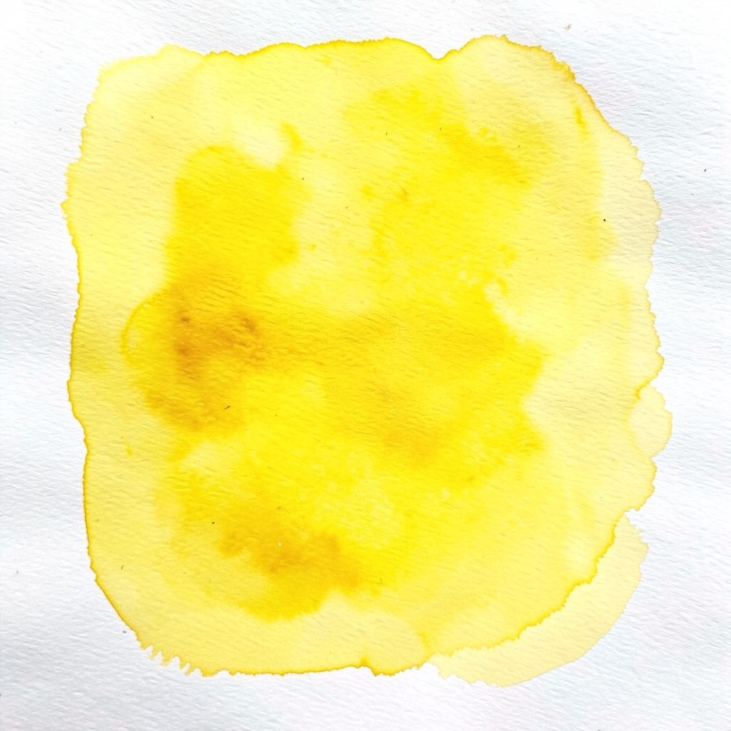 Pale gold and charcoal watercolour wash evoking the cover of an old medical volume.